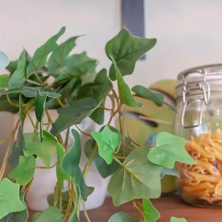 Shoppers Oasis - Heart Of Centre - Pass The Keys Lejlighed *